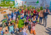 El Municipio ya lanzó una nueva temporada de semillas ‘Huerta en Casa’