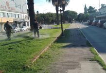 Tras la tormenta, el municipio continúa con los operativos de limpieza de espacios públicos en todas las localidades del partido