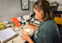 El municipio extrema las medidas preventivas contra el dengue