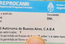 La Defensoría del Pueblo bonaerense investigará la auditoría al REPROCANN que hará el gobierno nacional