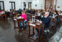 Los bloques de Passaglia y Milei aprobaron la rendición de cuentas con un déficit de 600 millones de pesos