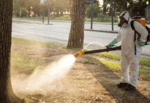 El Municipio lanzó una campaña integral para prevenir el dengue