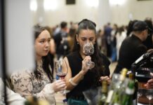Se llevó a cabo la primera feria de vinos de Córdoba