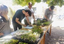 El Municipio gestionó el acceso al Programa “Huertas Urbanas”