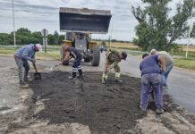 Intendentes bonaerenses salen a cortar el pasto y arreglar baches en las rutas nacionales y exponen el “abandono” de Vialidad