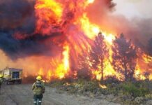 Una fuente de los Bomberos de Neuquén acusó al gobierno de falta de apoyo