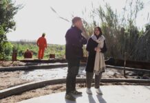 Con dos nuevas obras, el municipio continúa avanzando con su Plan de Costa 100% Pública