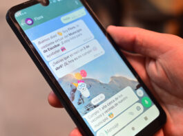 «Flora», el chatbot de la Municipalidad fue premiado por la Sociedad Argentina de Inteligencia Artificial