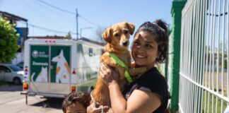 El Municipio incorporó un nuevo tráiler quirúrgico para castraciones y vacunaciones gratuitas