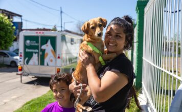 El Municipio incorporó un nuevo tráiler quirúrgico para castraciones y vacunaciones gratuitas