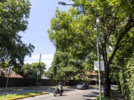 El Municipio refuerza la vigilancia en La Horqueta con 70 cámaras de última generación