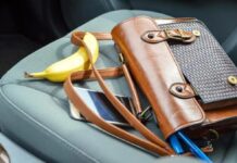 Seguridad vial: ¿Es peligroso llevar objetos sueltos en el vehículo?