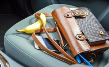 Seguridad vial: ¿Es peligroso llevar objetos sueltos en el vehículo?