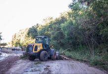 El Municipio intensifica la limpieza y erradicación de mini basurales en el Parque Varisco