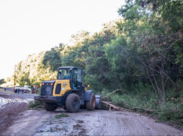 El Municipio intensifica la limpieza y erradicación de mini basurales en el Parque Varisco