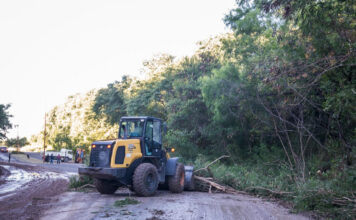 El Municipio intensifica la limpieza y erradicación de mini basurales en el Parque Varisco