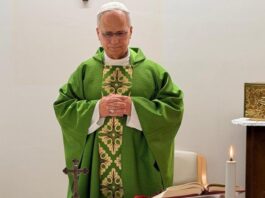 El Vaticano difundió las primeras fotos del Papa León XIV tras la operación