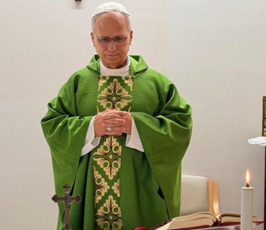 El Vaticano difundió las primeras fotos del Papa León XIV tras la operación